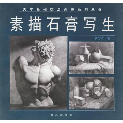 素描石膏写生/美术基础技法训练系列丛书
