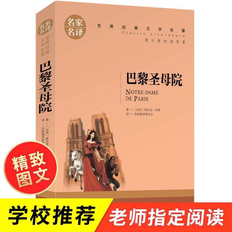 巴黎圣母院 中小学生课外阅读书籍世界经典文学名著青少年儿童读物故事书名家名译原汁原味读原著