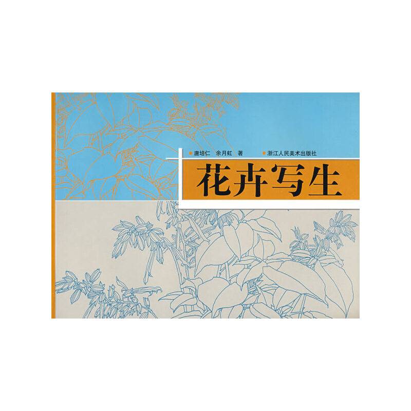 花卉写生