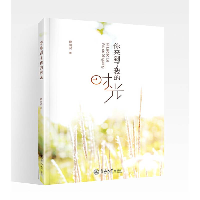 你来到了我的时光