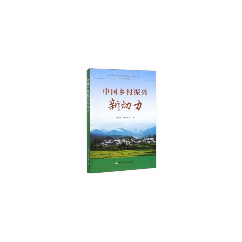 中国乡村振兴新动力