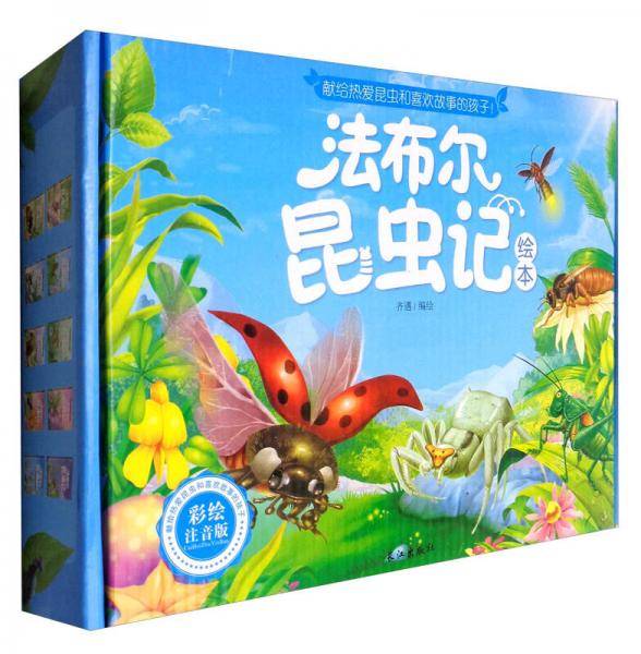 圆网蛛：精明的捕猎高手