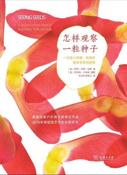 怎样观察一粒种子