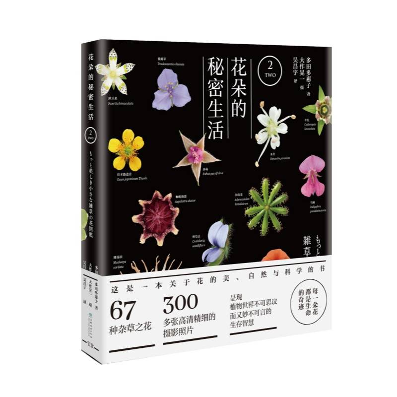 花朵的秘密生活（下）