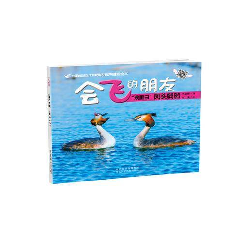 “浪里白”凤头6?6?