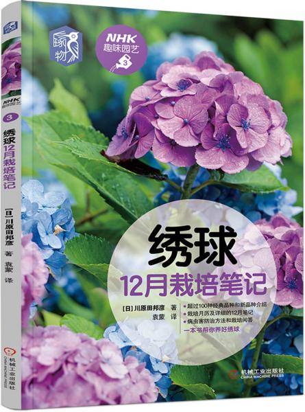绣球12月栽培笔记