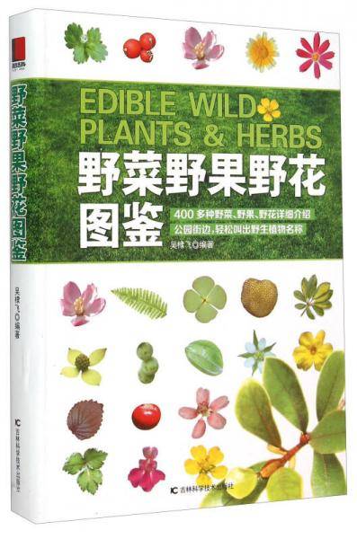 野菜野果野花图鉴