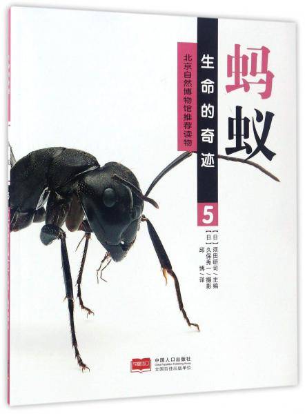 蚂蚁