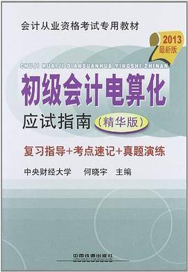 初级会计电算化应试指南