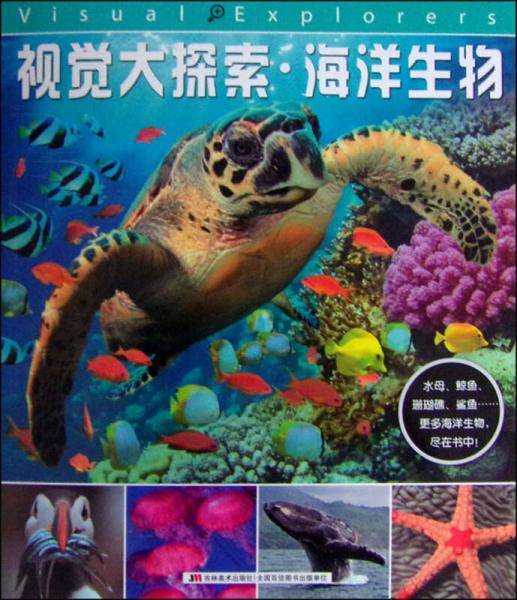 视觉大探索：海洋生物