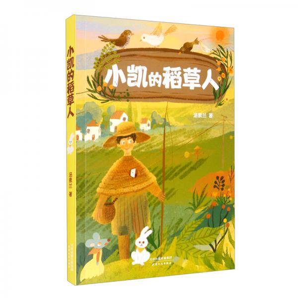 小凯的稻草人