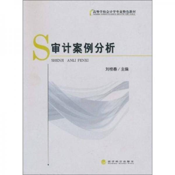 审计案例分析