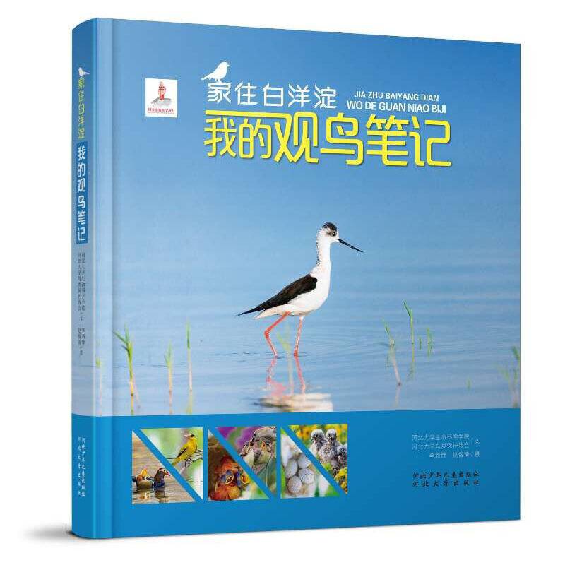 家住白洋淀―我的观鸟笔记
