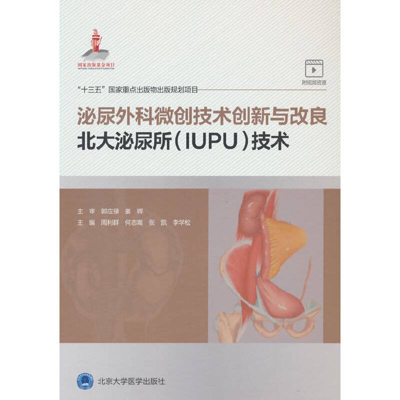 泌尿外科微创技术创新与改良：北大泌尿所技术