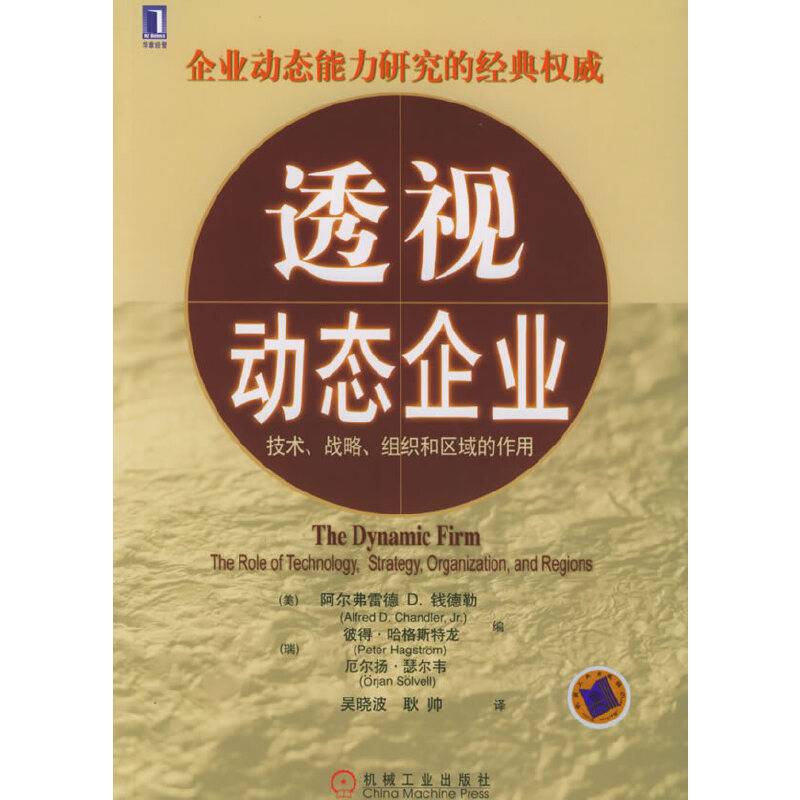 透视动态企业：技术、战略、组织和区域的作用