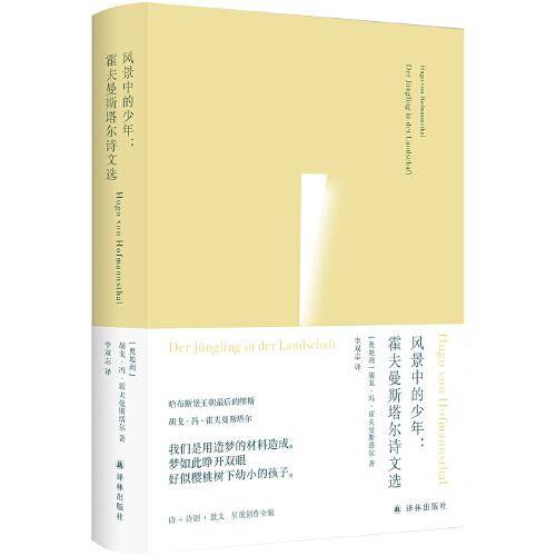 风景中的少年：霍夫曼斯塔尔诗文选（俄耳甫斯诗译丛）