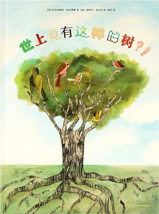 世上竟有这样的树？！