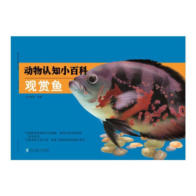 动物认知小百科-观赏鱼
