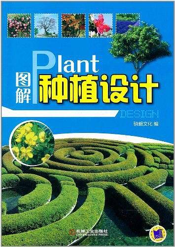 图解种植设计