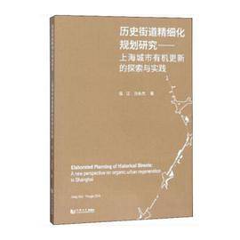 历史街道精细化规划研究