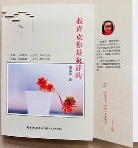 我喜欢你是寂静的