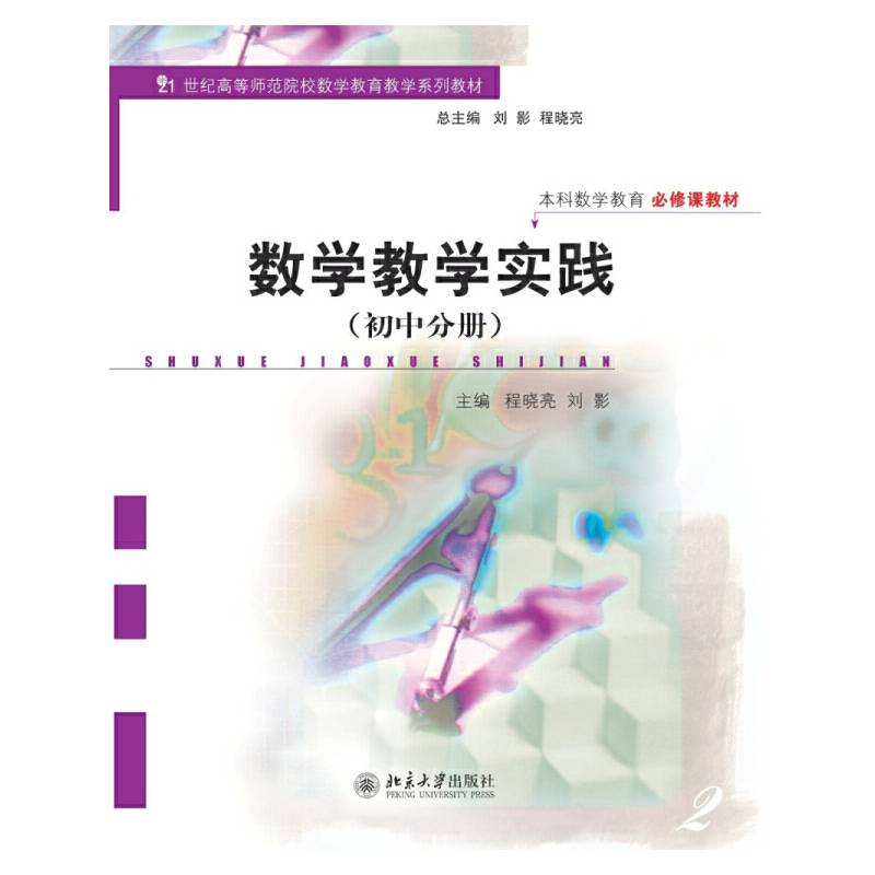 数学教学实践（初中分册）