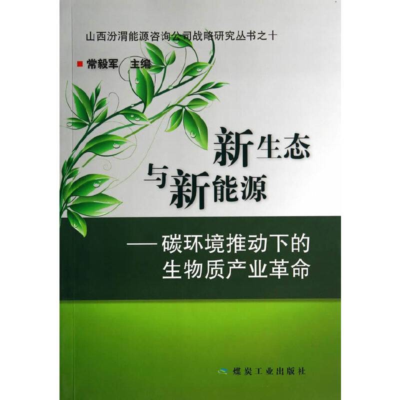 山西汾渭能源咨询公司战略研究丛书・新生态与新能源：碳环境推动下的生物质产业革命