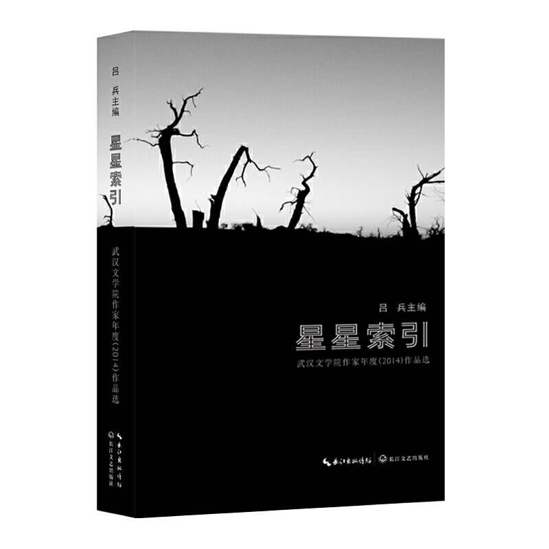 星星索引：武汉文学院作家作品选