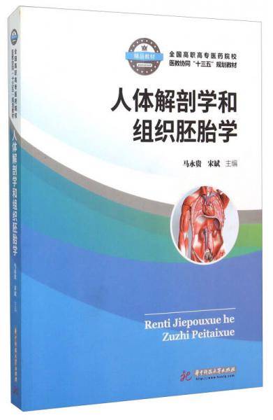 人体解剖学和组织胚胎学