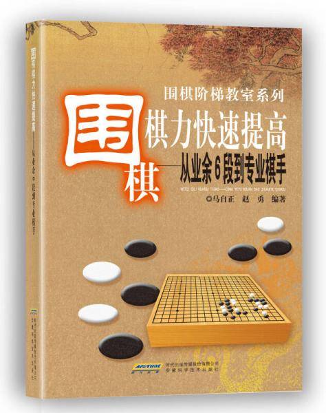 围棋棋力快速提高――从业余6段到专业棋手