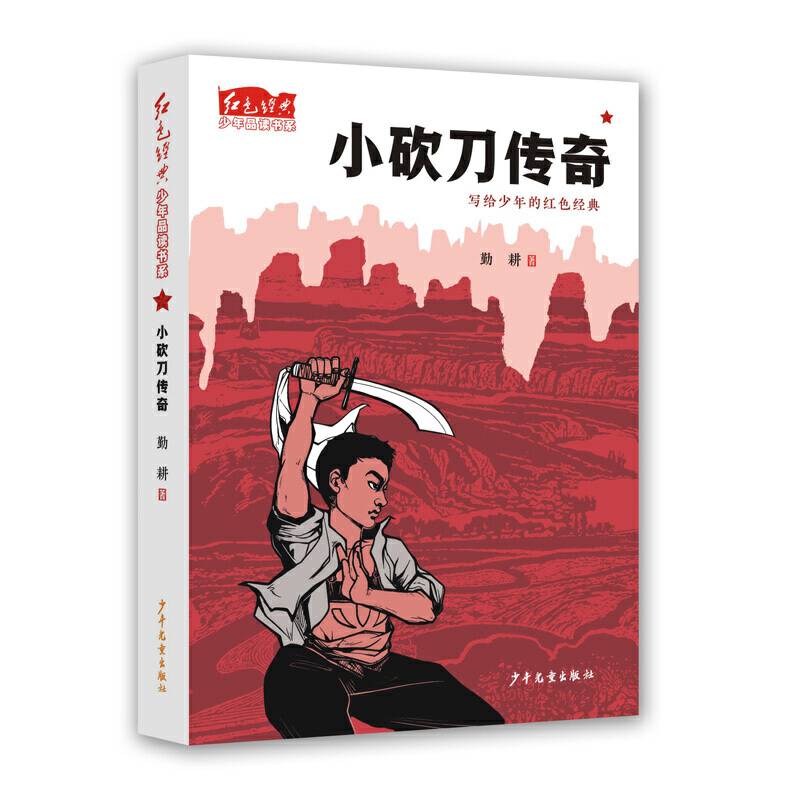 红色经典少年品读书系·小砍刀传奇
