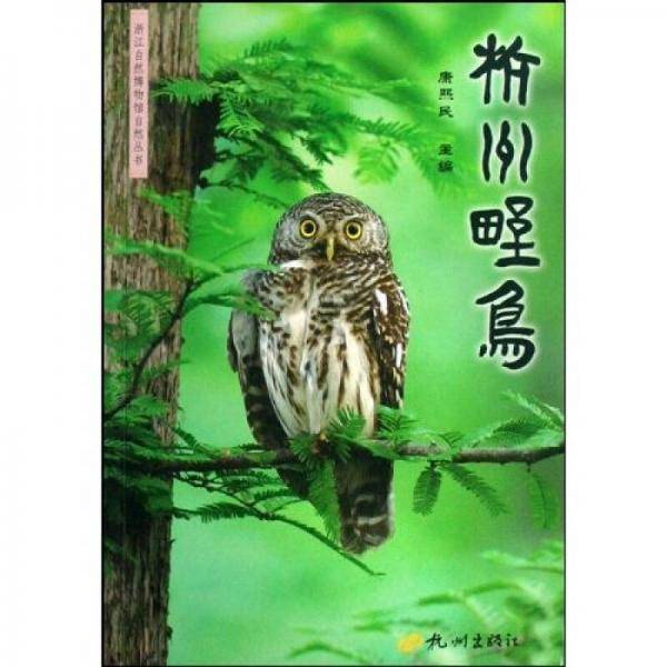 杭州野鸟