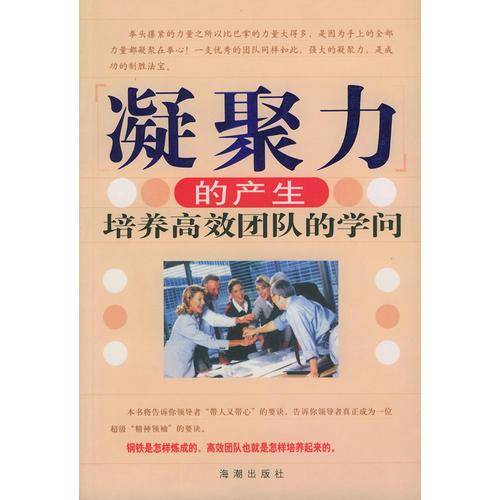 凝聚力的产生：培养高效团队的学问