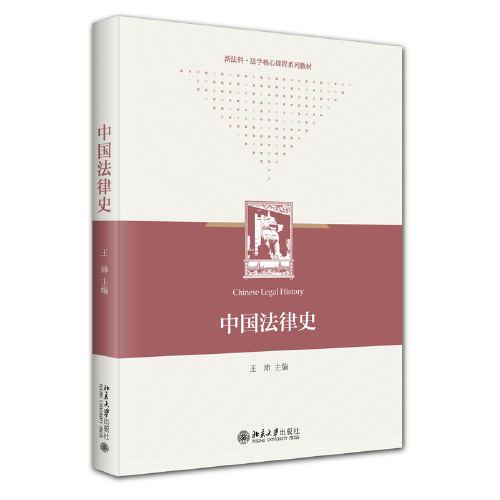 中国法律史 新法科 法学核心课程系列教材 王沛