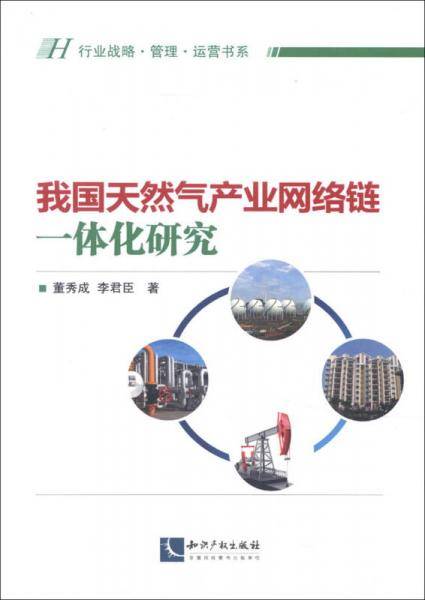我国天然气产业网络链一体化研究