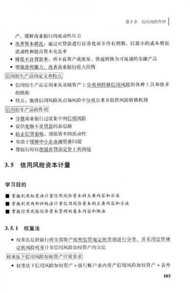风险管理要点串讲-2013年版
