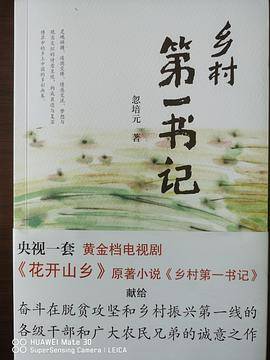 乡村第一书记