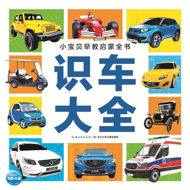 识车大全
