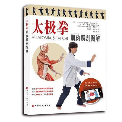 太极拳肌肉解剖图解