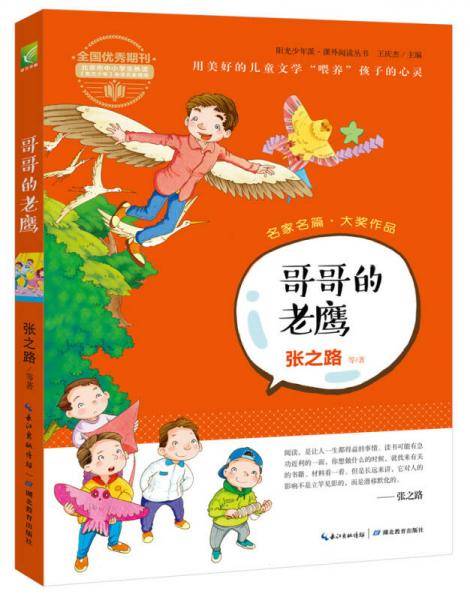阳光少年派：哥哥的老鹰（名家名篇新作精选 用美好的儿童文学“喂养”孩子的心灵）