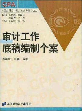 审计工作底稿编制个案