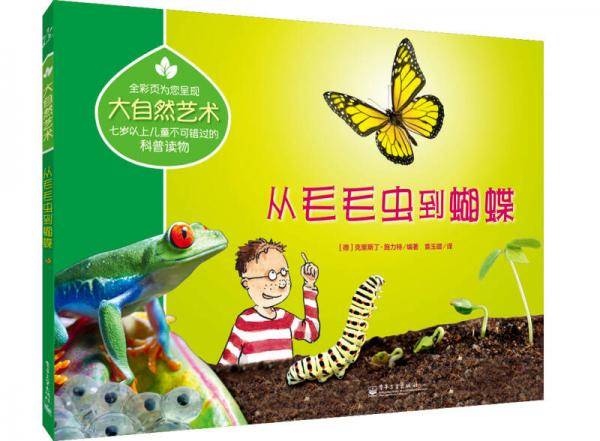 大自然艺术：从毛毛虫到蝴蝶