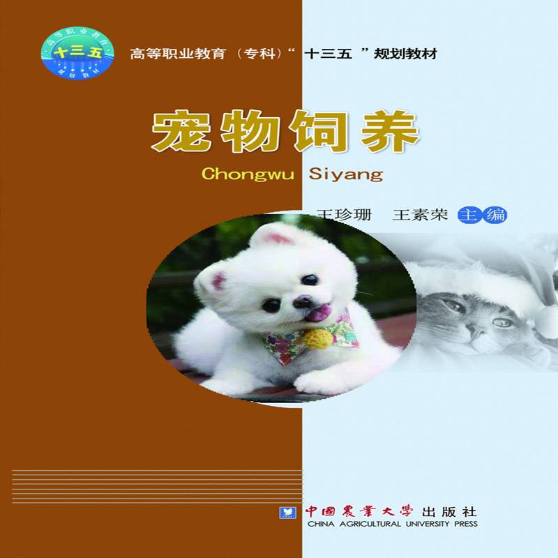宠物饲养