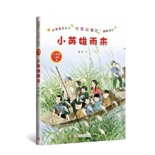 苏菲的选择