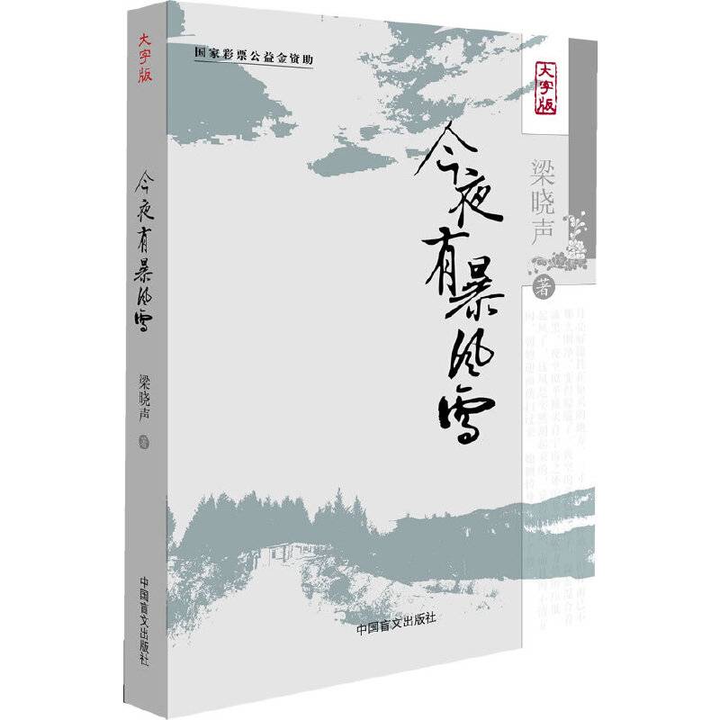 今夜有暴风雪梁晓声经典之作 大字版更护眼