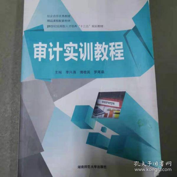 审计实训教程