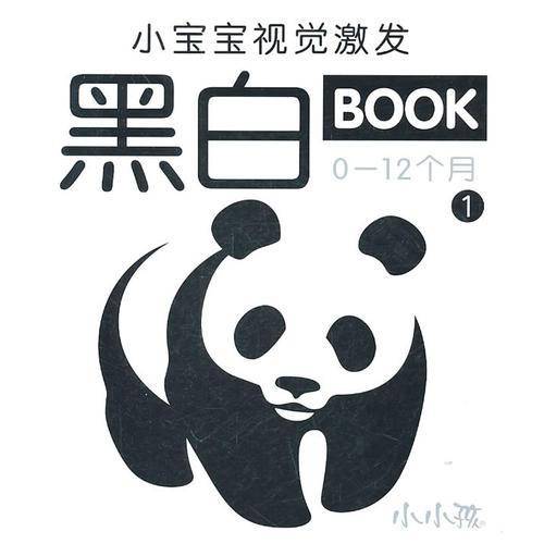 小宝宝视觉激发黑白BOOK  1
