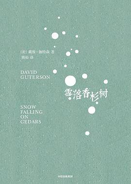 雪落香杉树