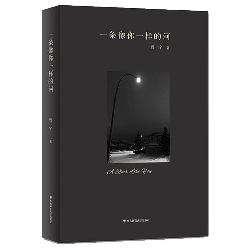 一条像你一样的河