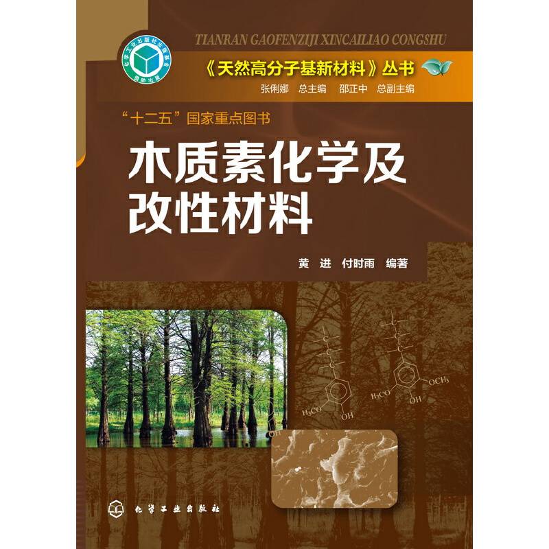 天然高分子基新材料丛书--木质素化学及改性材料
